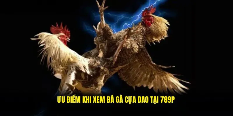 Ưu điểm khi theo dõi đá gà cựa dao tại 789P